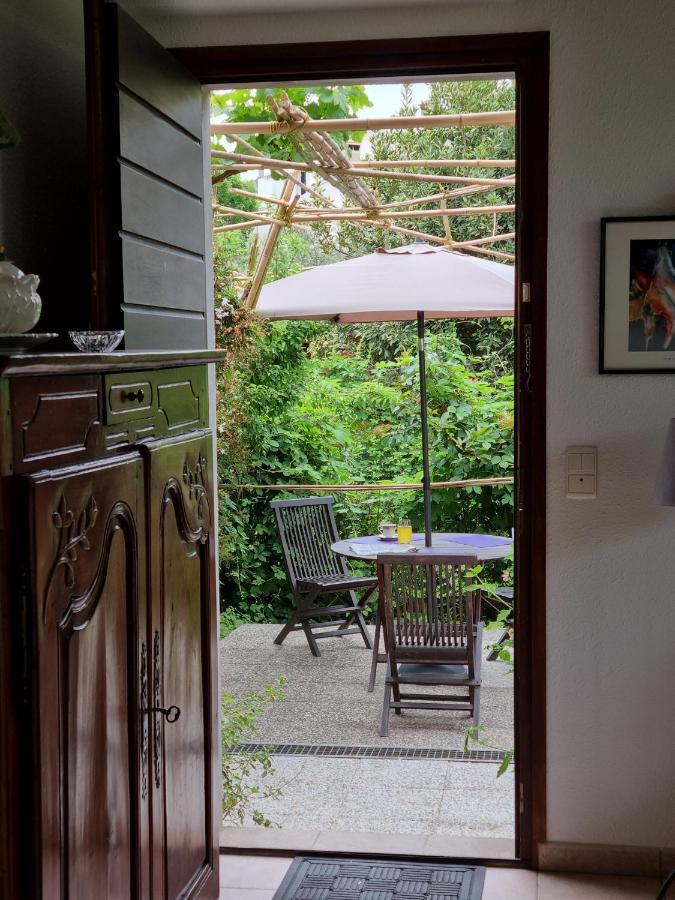 Villa El Correc Laroque-des-Alberes Ngoại thất bức ảnh
